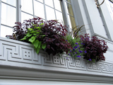 nywindow909