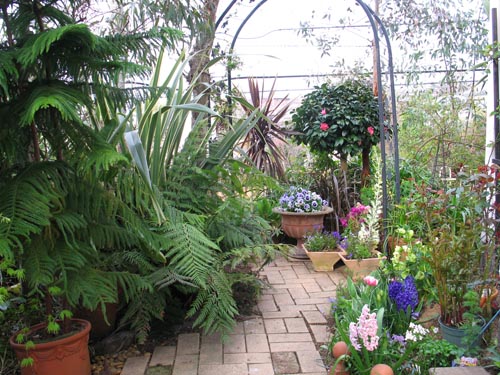 garden405b