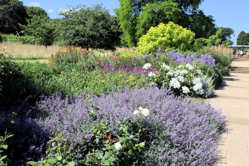 ウィズリーガーデン ４ Alex S Garden Party