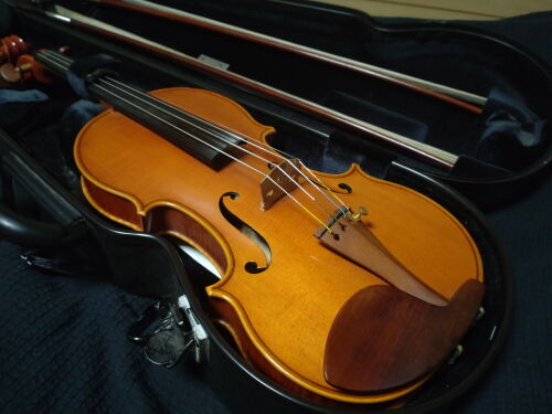 violin409ms