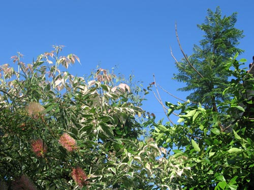 sky