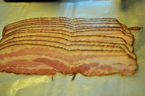 bacon1005c_ms