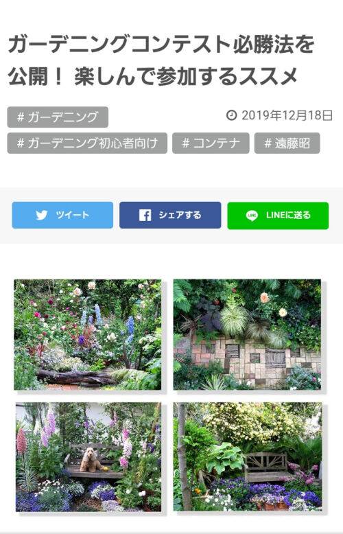 必勝法