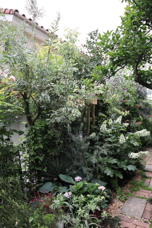 garden602bms
