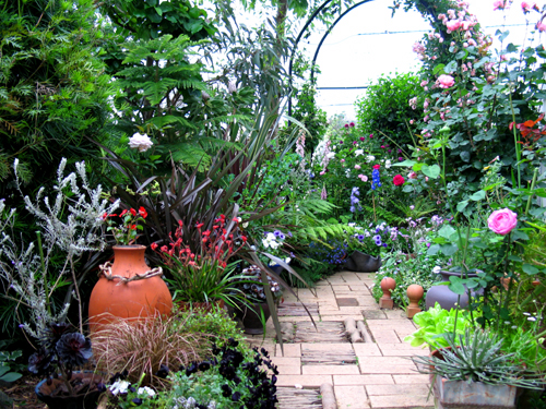 日々進化する寄せ鉢ガーデン Alex S Garden Party