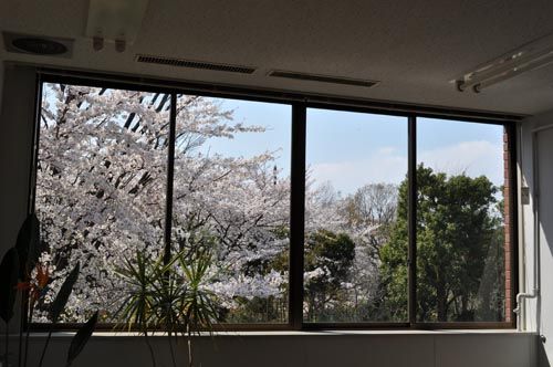 meetingroom409_ms