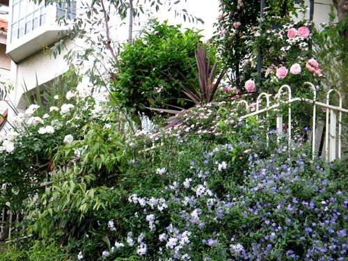 outside522a_ms