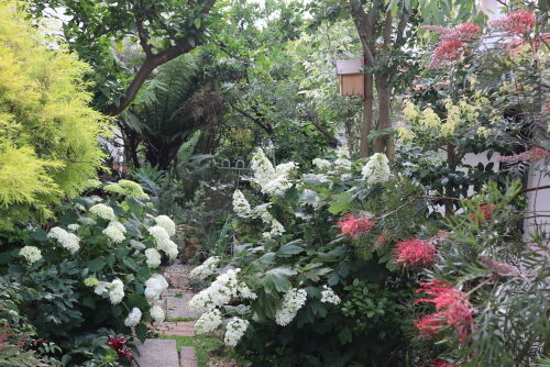 garden606ms