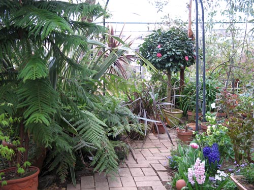 garden405a