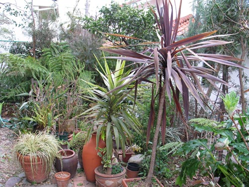 gardenbefore404_ms