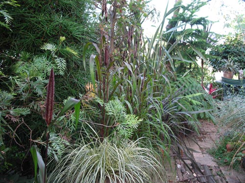 garden915b_ms