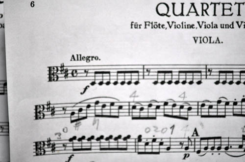 viola131b_ms