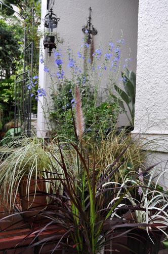 grass926_ms