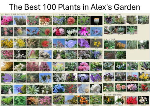 alexgardenbest1000208ms