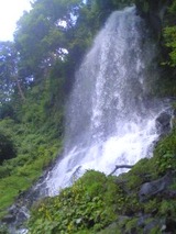 9a298647.jpg