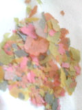 dd3b573a.jpg