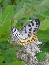 f82032f6.jpg