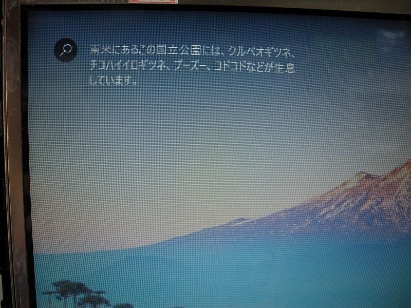 液晶画面の一部が割れて黒いシミになってしまった東芝製ノートパソコンの修理 湘南のパソコン修理専門店 下田商会 0466 48 2386