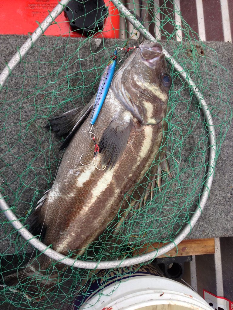 私の釣れない理由 Anglershigh