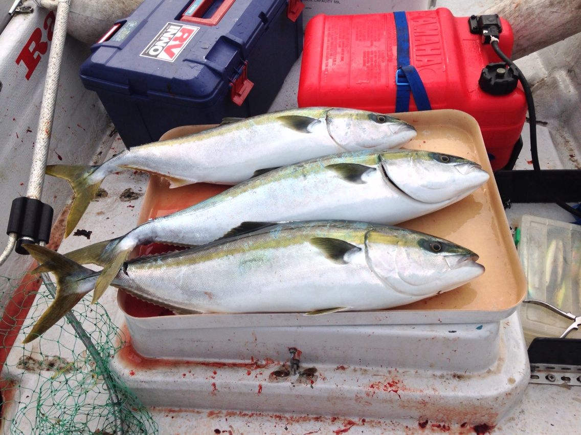 青物ジギング 神割崎沖8 15 Anglershigh