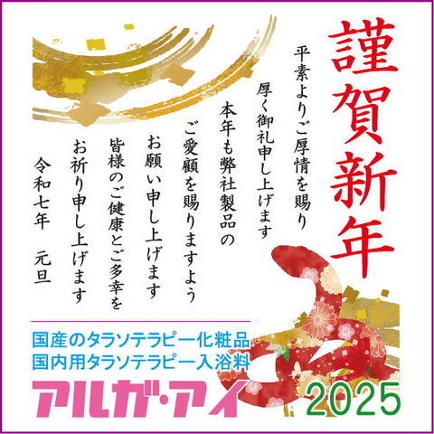 newyear2025