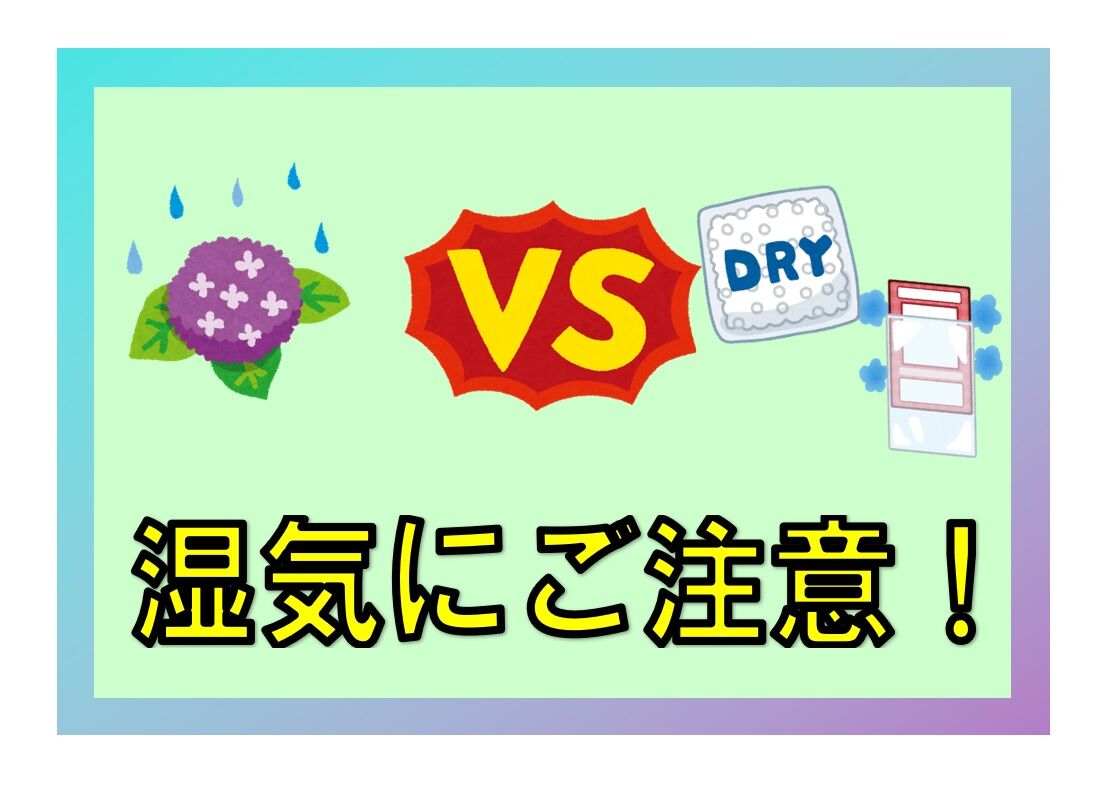第6回板橋切り絵展 Dm発送始まります モーリの切り絵を楽しむ