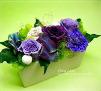 �ե����顡Alice