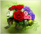 �ե�����Alice