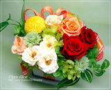 �ե�����Alice