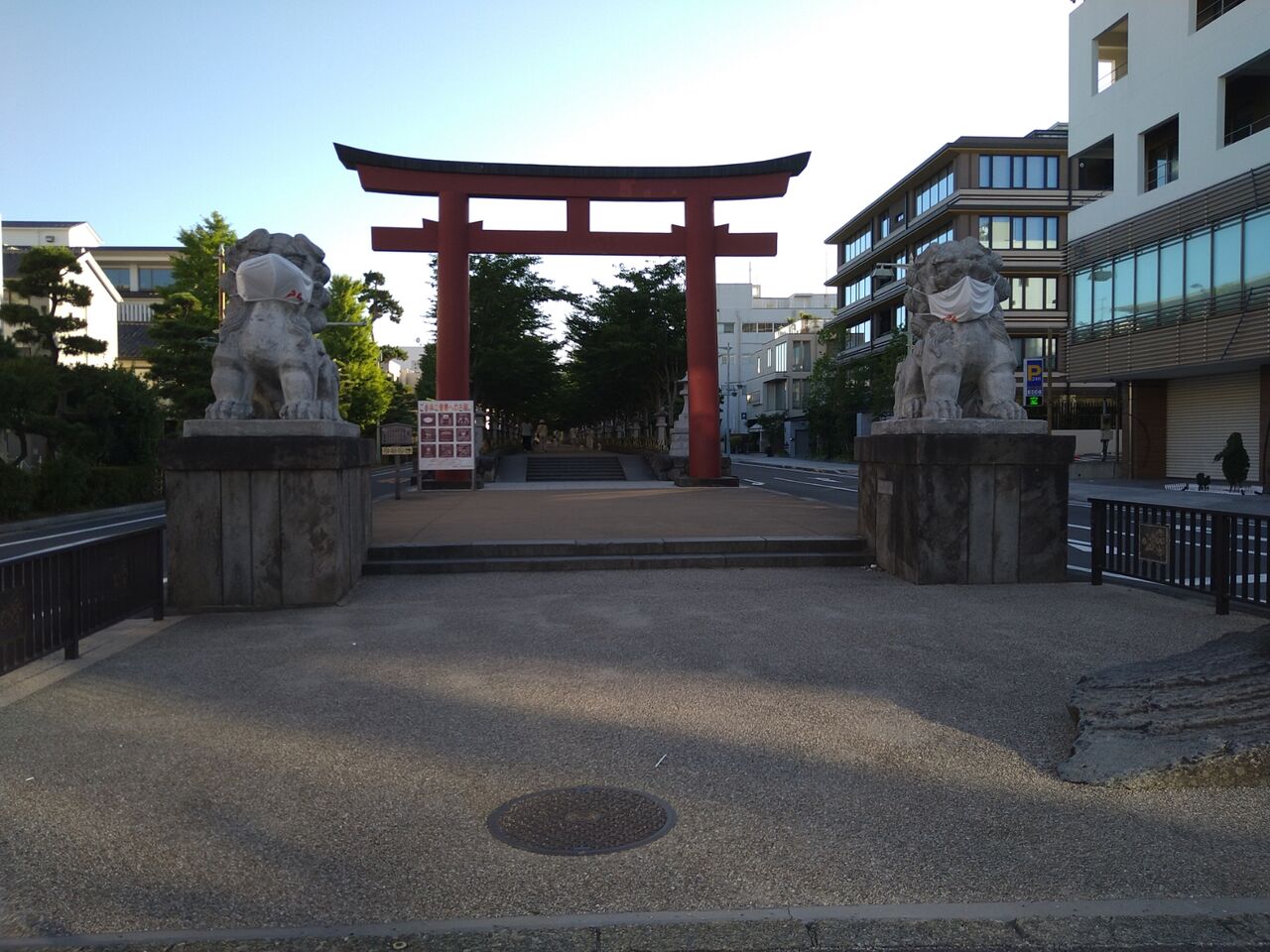 朝の鶴岡八幡宮から海まで若宮大路を楽しむ Aliceの編み物