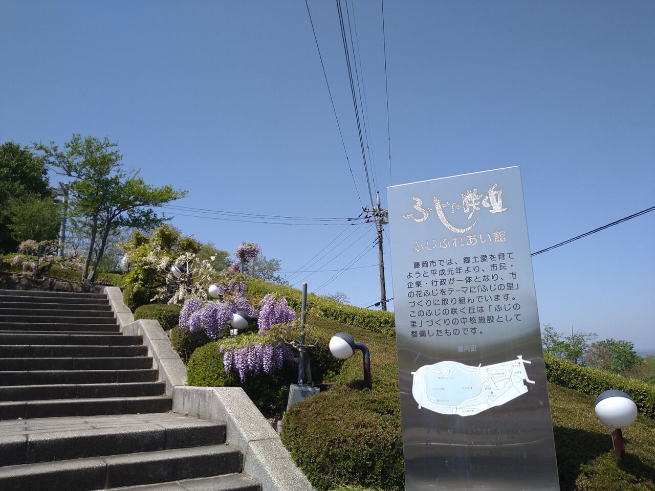 ふじの咲く丘公園 Aliceの編み物