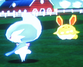 色違いポケモンを牧場に放ってみました 2 有栖のポケモン日記 色違いポケモンを牧場に放ってみました 2 有栖のポケモン日記