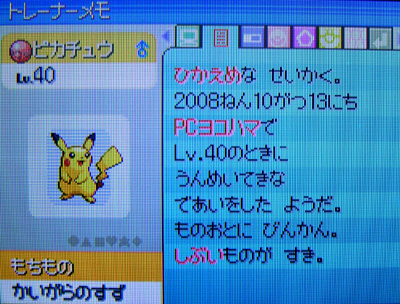 ヨコハマのピカチュウ、受け取ったぜ!!!!! : 有栖のポケモン日記