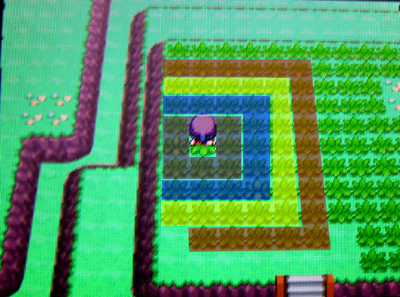 ポケトレ連鎖の方法 第4回 全5回 有栖のポケモン日記 ポケトレ連鎖の方法 第4回 全5回 有栖のポケモン日記