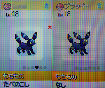 色違いブラッキーをご紹介 有栖のポケモン日記