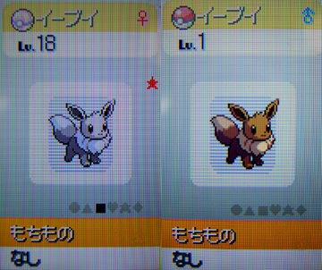 色違いイーブイをご紹介 有栖のポケモン日記