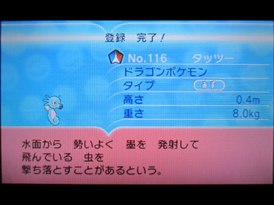 色違いタッツー 連続釣りでgetだぜ 有栖のポケモン日記