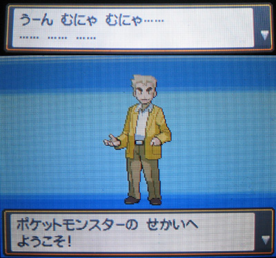 ワカバタウンから始まる冒険 有栖のポケモン日記 ワカバタウンから始まる冒険 有栖のポケモン日記