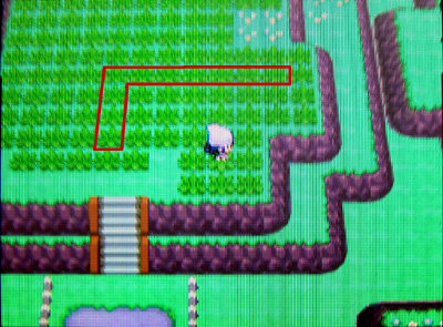 ポケトレ連鎖の方法 第4回 全5回 有栖のポケモン日記 ポケトレ連鎖の方法 第4回 全5回 有栖のポケモン日記