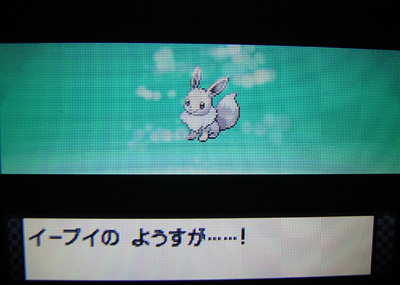 プラチナで 色違いブラッキーに進化だぜ 有栖のポケモン日記