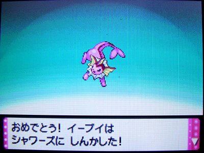 色違いイーブイに みずのいし 有栖のポケモン日記