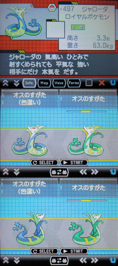 色違いジャローダをご紹介 有栖のポケモン日記