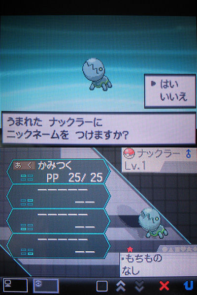 ポケセンの色違いタッツー ナックラー チルット 孵したぜ 有栖のポケモン日記