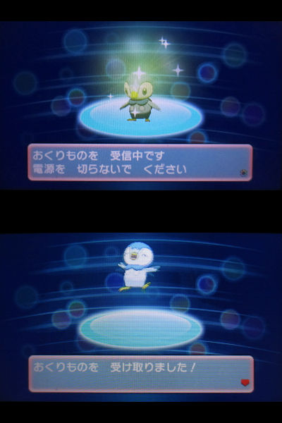 ポケモンセンター、トウキョーフィナーレのポッチャマをご紹介！ : 有