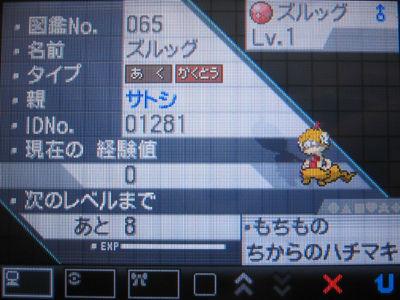 サトシのズルッグ 受けとったぜ 有栖のポケモン日記