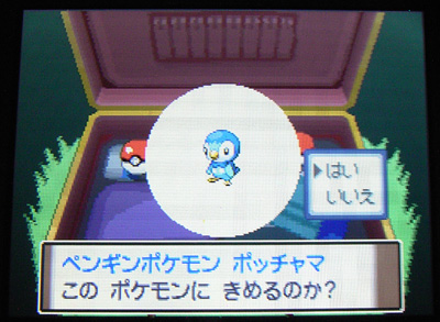 旅のはじまり そしてコールバッジgetだぜ 有栖のポケモン日記