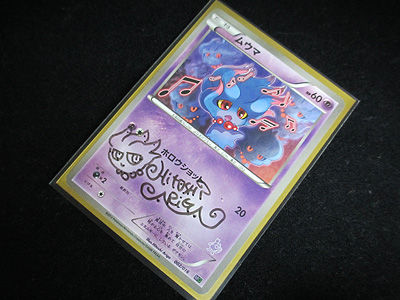 レックウザメガバトル千葉会場 お楽しみゲット編 有栖のポケモン日記 レックウザメガバトル千葉会場 お楽しみゲット編 有栖のポケモン日記