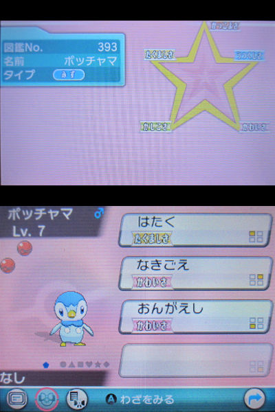 ポケモンセンター トウキョーフィナーレのポッチャマをご紹介 有栖のポケモン日記