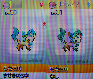 色違いリーフィアをご紹介 有栖のポケモン日記