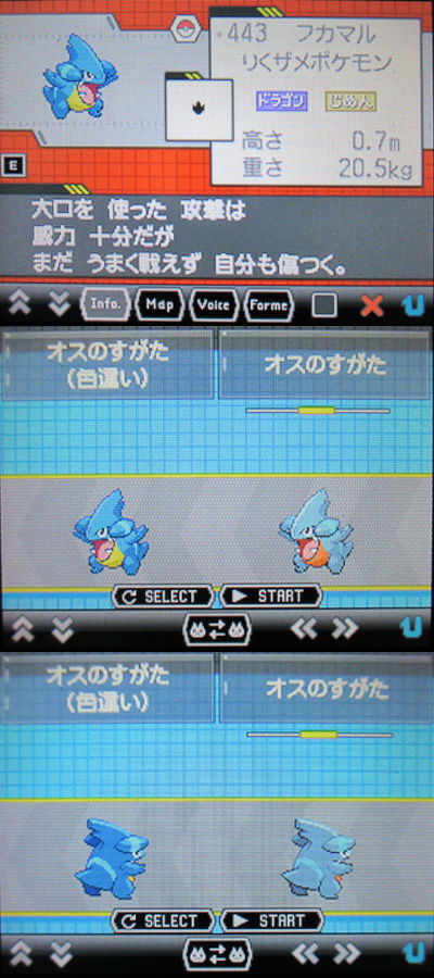 色違いフカマル タマゴが孵ってgetだぜ 有栖のポケモン日記